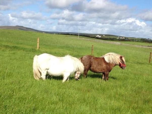 Ceol Na Dtonnta Doolin Exterior foto